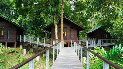 borneo rainforest lodge tripadvisor